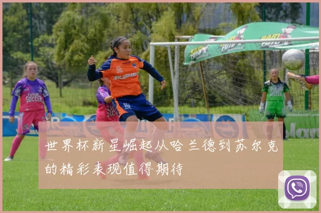 世界杯新星崛起从哈兰德到苏尔克的精彩表现值得期待