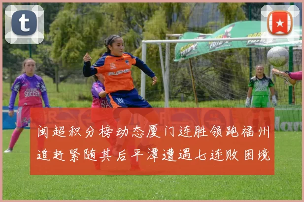 闽超积分榜动态厦门连胜领跑福州追赶紧随其后平潭遭遇七连败困境