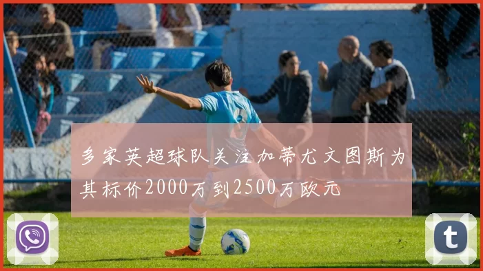 多家英超球队关注加蒂尤文图斯为其标价2000万到2500万欧元